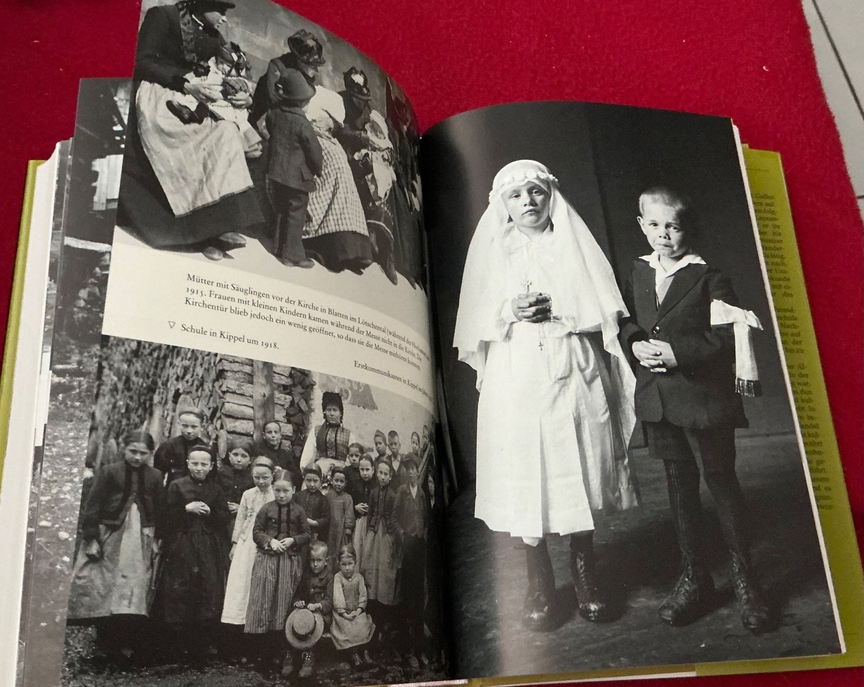 Libri: Alpine AlltagsKultur Volkskunde Lötschental - A. Niederer – Usato da Naters venduto da seidengut 6