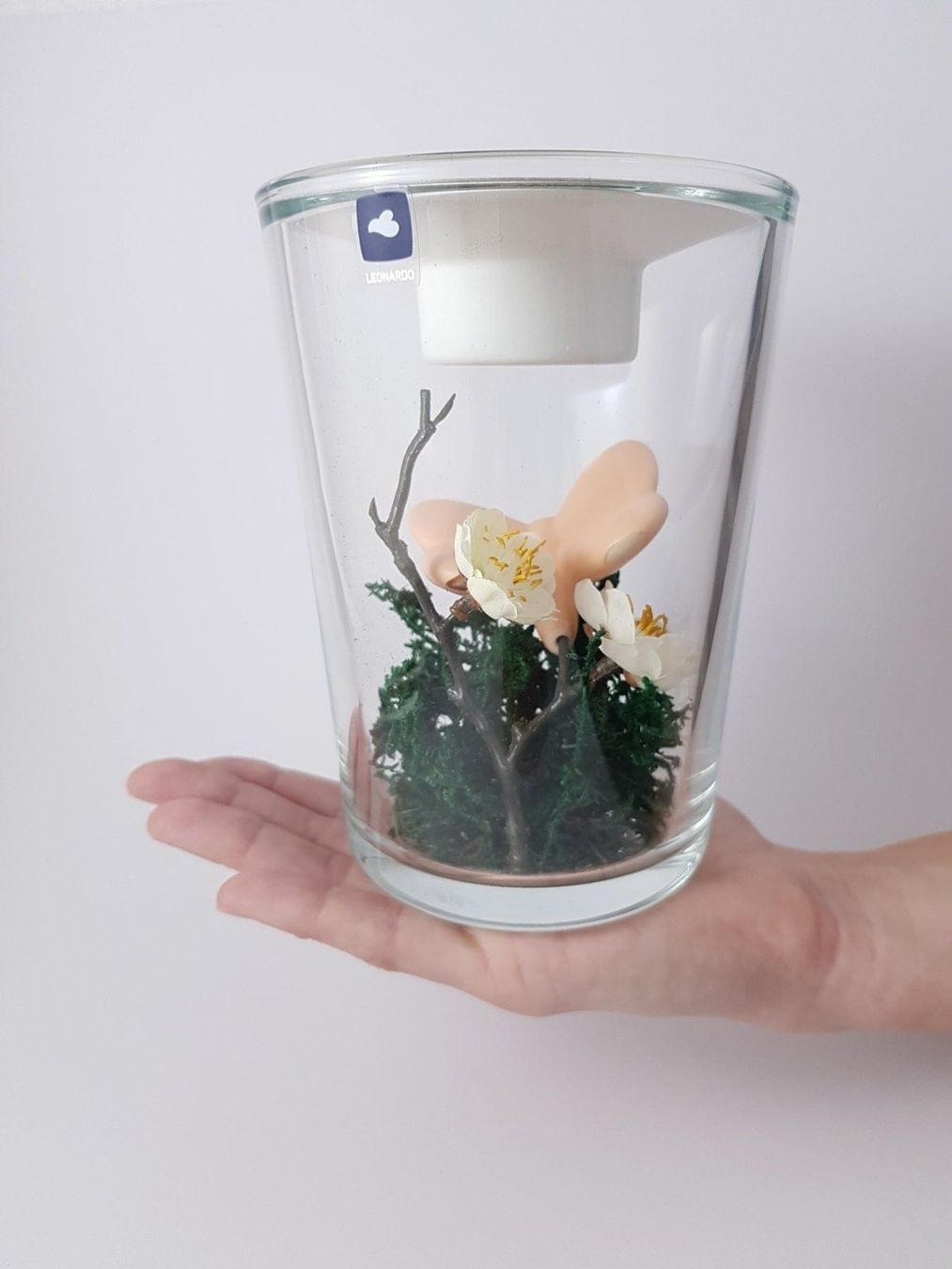 Alle Dekorationen: Primavera Vase Transparent Bunt Glas – Neu und originalverpackt aus Brugg AG von swiss.sales.force 5
