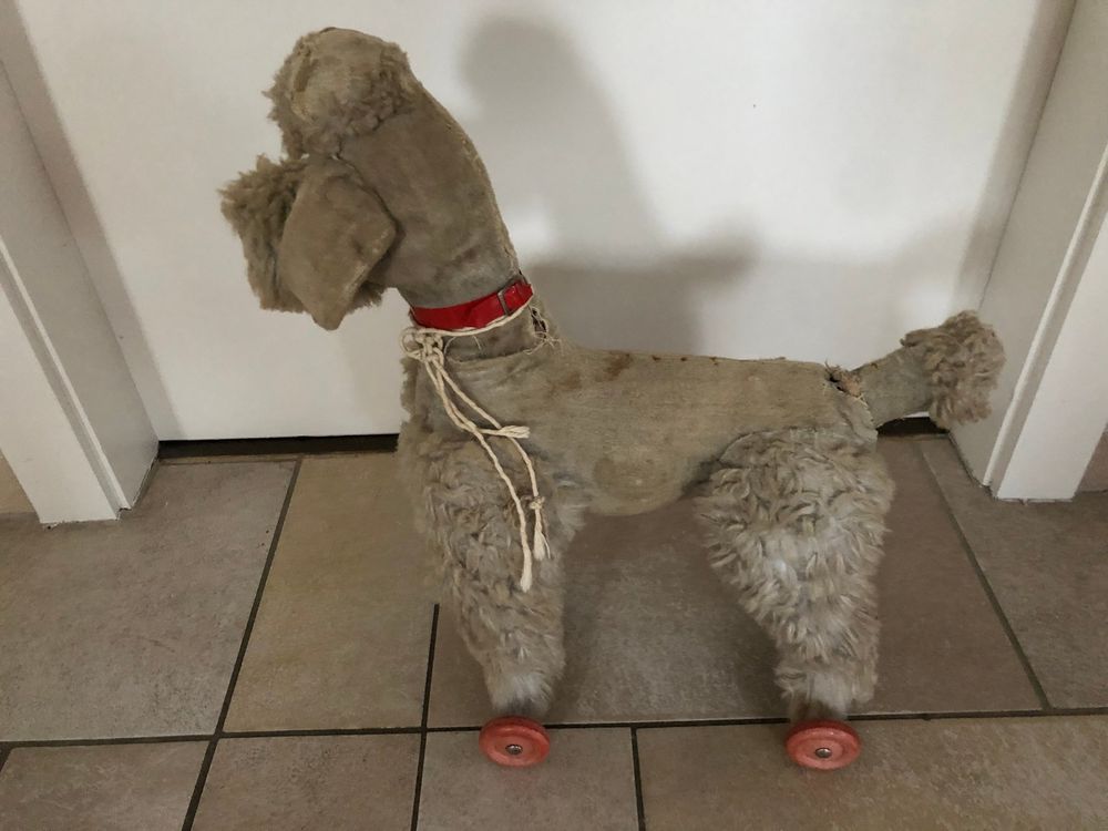 Très ancienne peluche petit caniche à roulettes Kaufen auf Ricardo