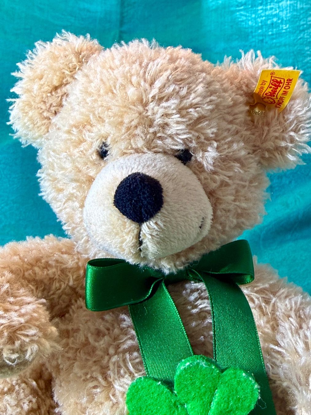 Steiff Giocattoli: Steiff Jimmy Teddybär Good Luck – Usato da Muttenz venduto da wyhaegli 1