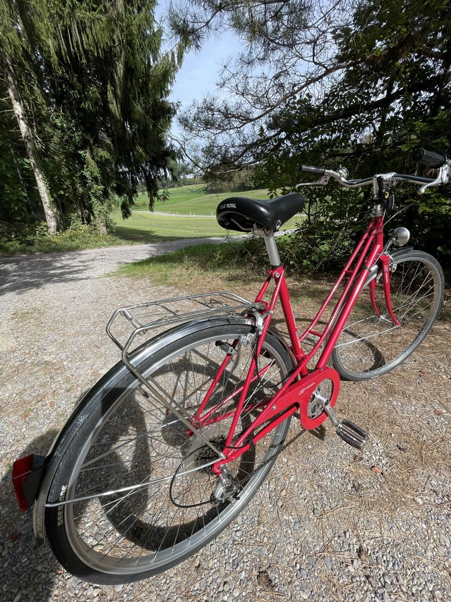 Velos: Damenvelo CORONADO – Gebraucht aus Zürich von han_85rg 3