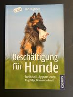 Beschäftigung für Hunde - Jan Nijboer