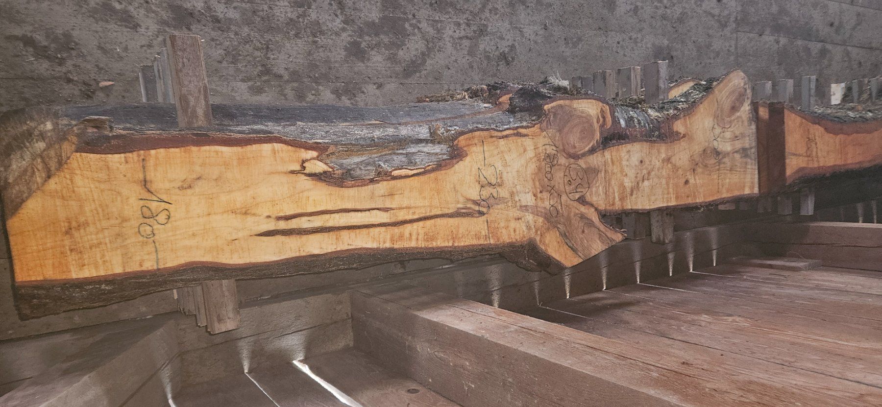 Articoli in legno: Kirschbaumbretter – Usato da Vielbringen Worb venduto da lua_cm7v 4