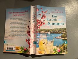 Roman Ein Besuch im Sommer von Asa Hellberg gebraucht