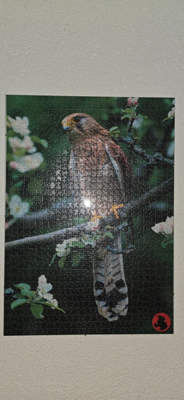 Puzzle: Puzzles – Nuovo (secondo la descrizione) da Pieterlen venduto da msf_7sdw 1