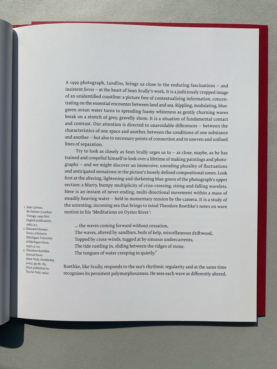 Libri: Sean Scully "HOME" Exhibition Catalogue, Kerlin Gallery. – Usato da Zürich venduto da lesgarcons 3