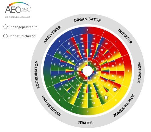 Altro per Ufficio & Commercio: AECdisc® Potenzialanalyse – Nuovo (secondo la descrizione) da Stein AR venduto da Rialo 1