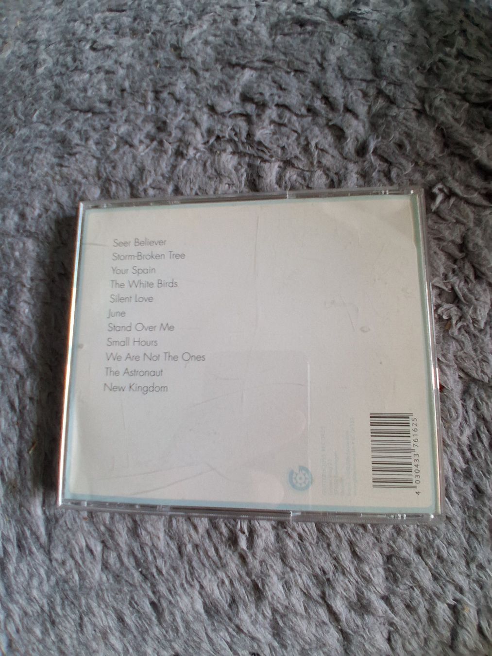 CD: THE WHITE BIRCH       COME UP FOR AIR       CD – Usato da Wetzikon ZH venduto da Ramones01 1