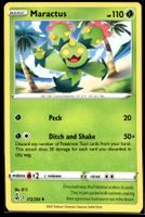 Maractus (FST EN 012/264)