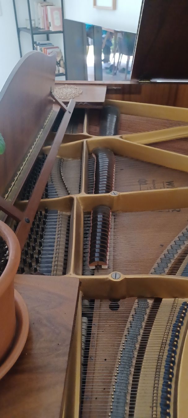 Strumenti musicali: Flügel(klein) – Usato da Biel-Benken BL venduto da Live010 4
