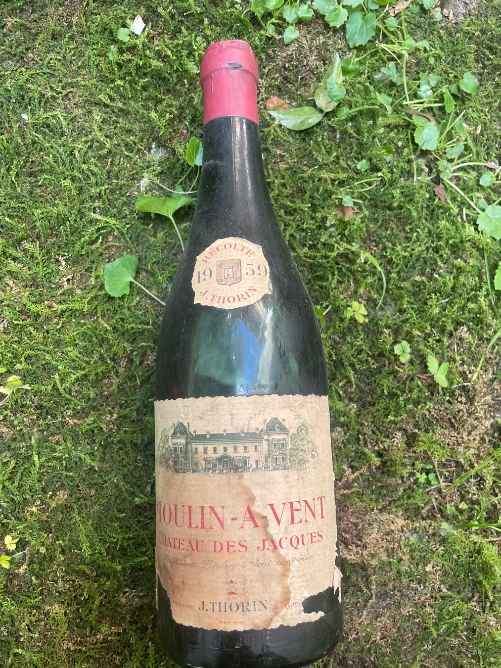 Vino: MOULIN A VENT CHATEAU DES JACQUES THORIN 1959 – Nuovo (secondo la descrizione) da Minusio venduto da Pink222 1