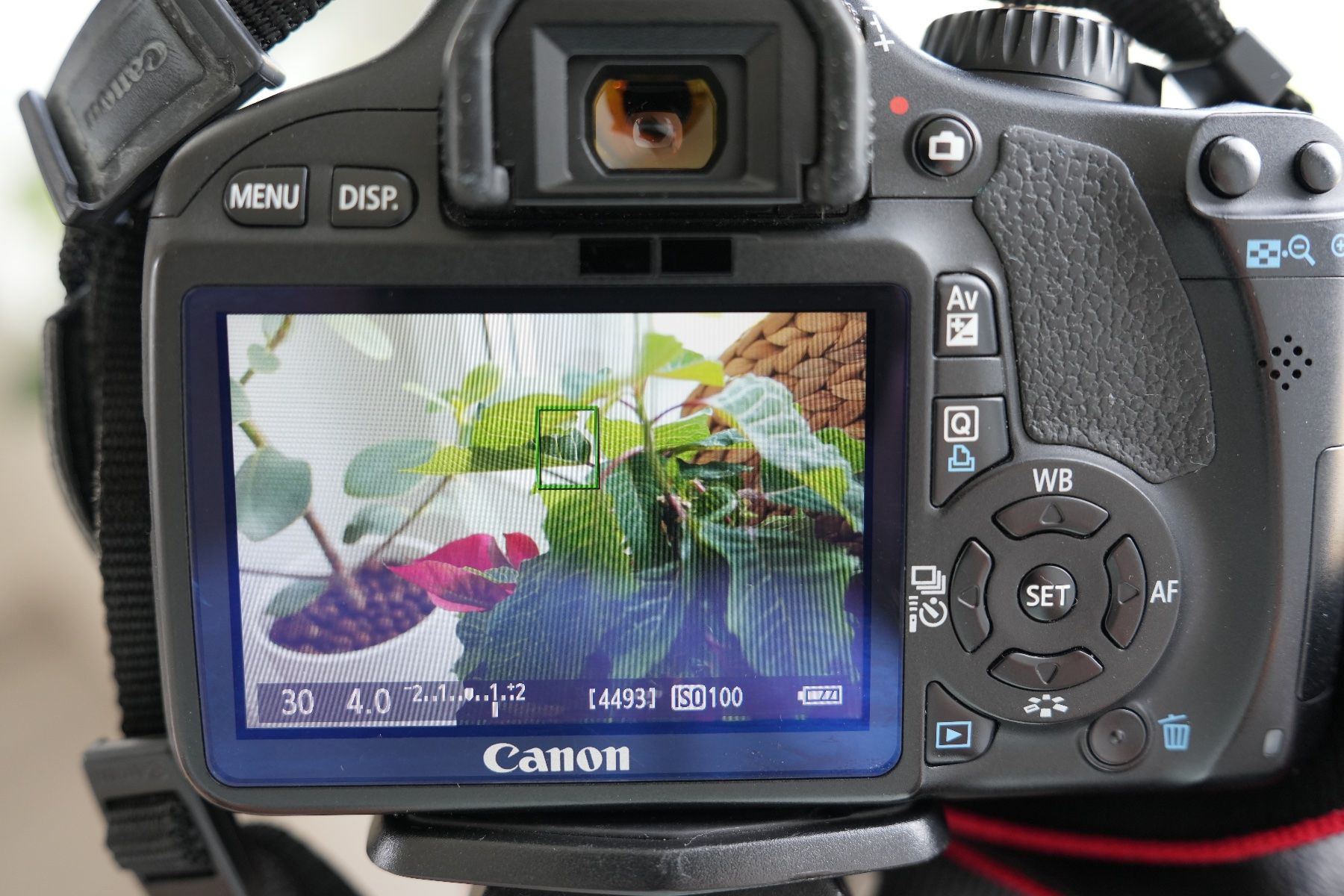 Canon Fotocamera: Canon EOS 550D DSLR Bundle mit viel Zubehör – Usato da Horgen venduto da sim_m5pj 8
