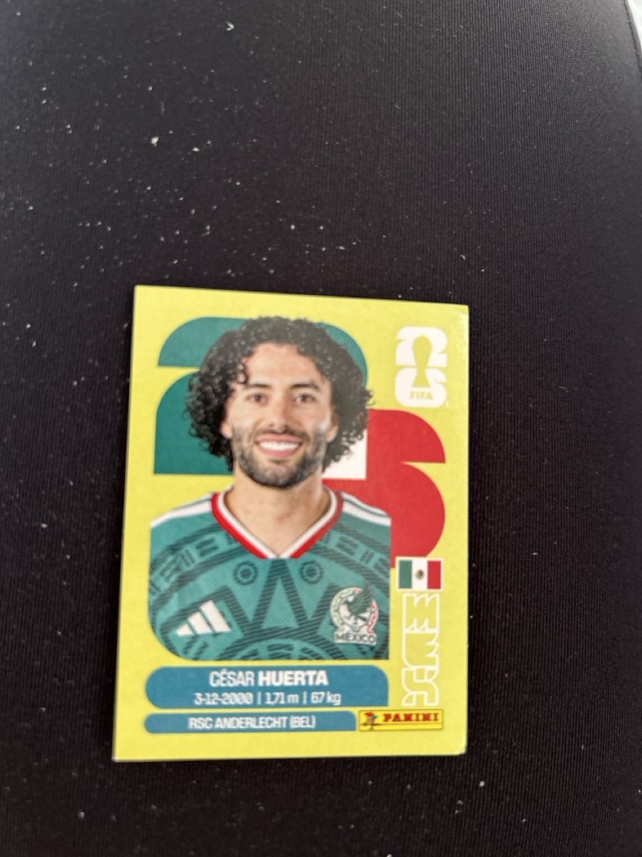 Panini Carte collezionabili: Panini MEX 20 – Nuovo (secondo la descrizione) da Lostorf venduto da Venice16