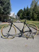 Rennvelo Rennrad Racer 2000 fulcrum Radsatz 