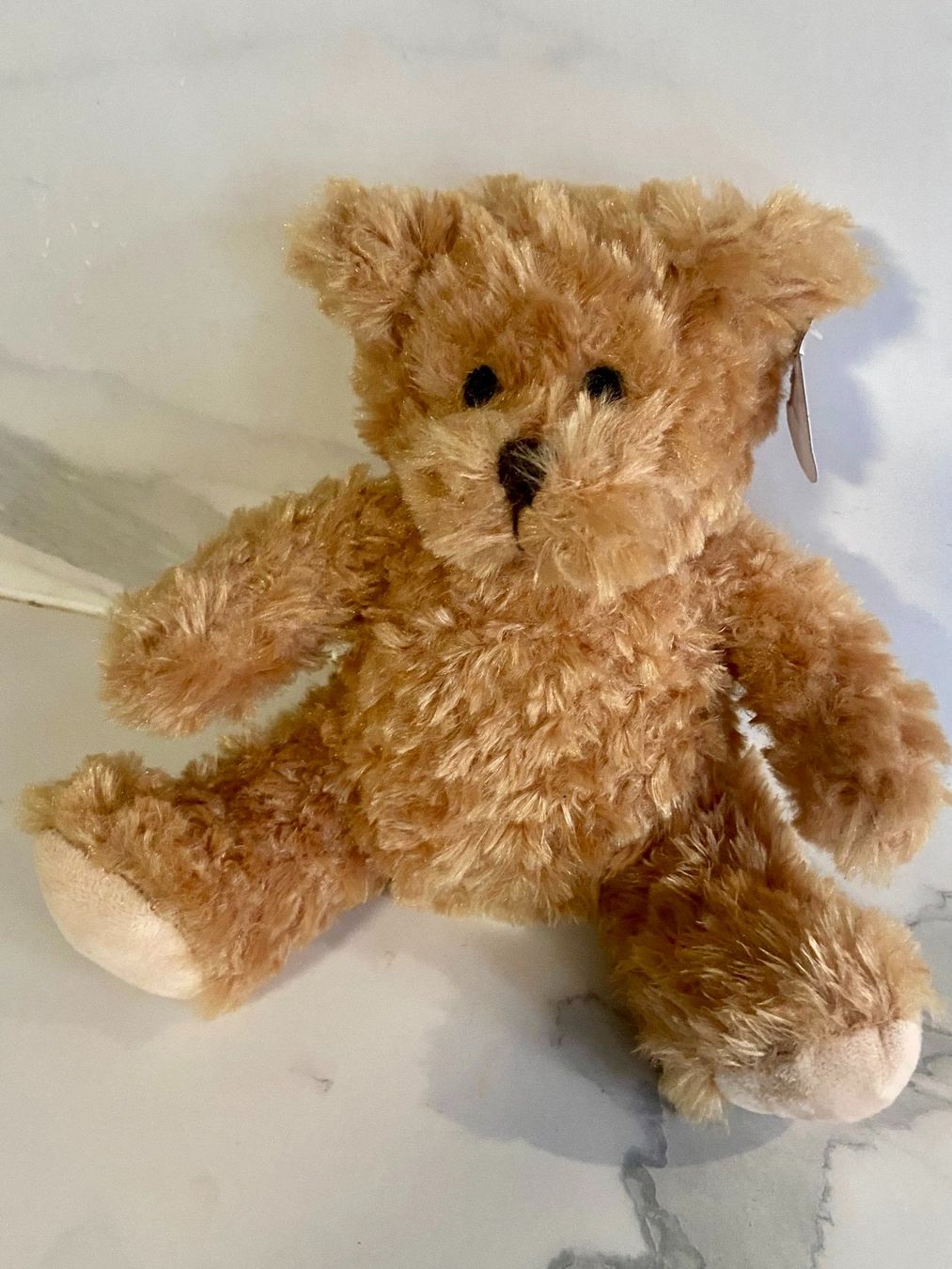 Giocattoli: 50 Bitcoin/Crypto Teddybären – Nuovo (secondo la descrizione) da Altstätten SG venduto da Swiss-Bitcoin-House 1