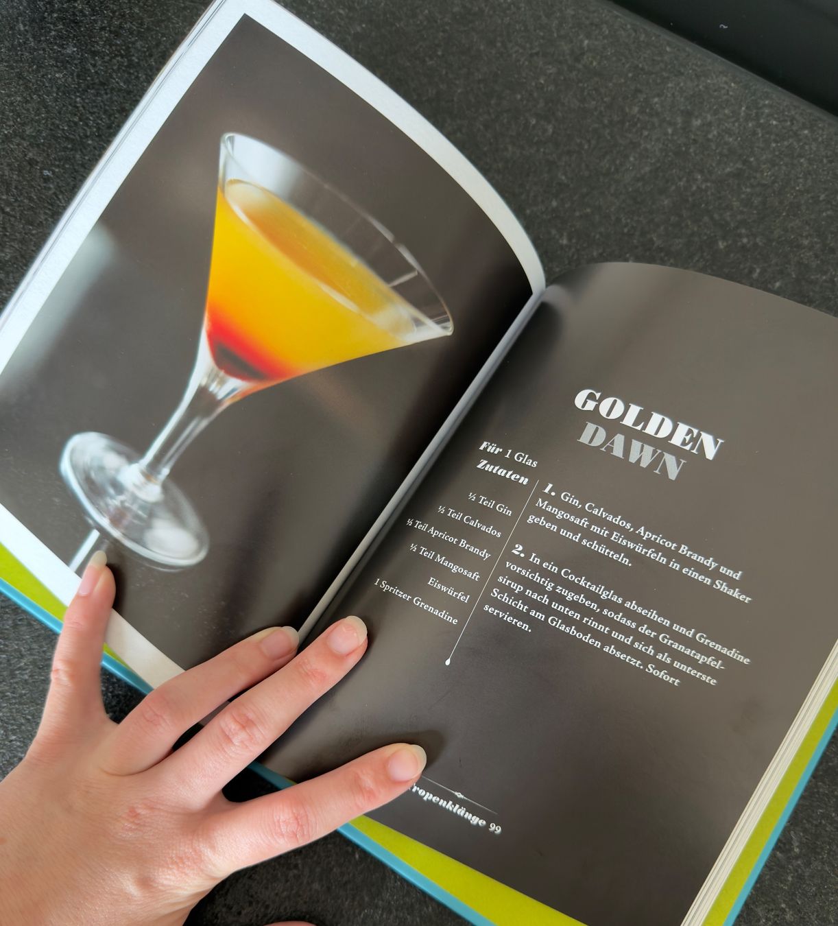 Livres: GIN - Barhandbuch – D'occasion à Thörishaus par happykit 2