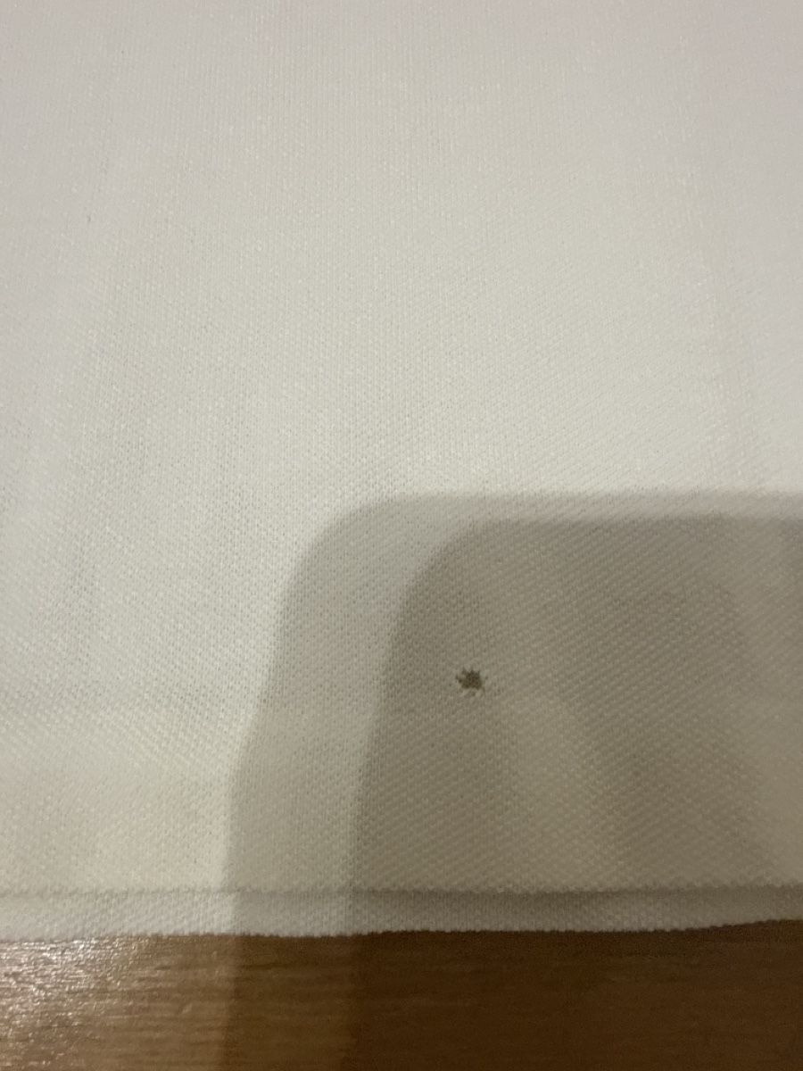 Polo Ralph Lauren Magliette Polo: Polo Ralph Lauren blanc, taille S – Usato da Vaux-sur-Morges venduto da GothamCity 2