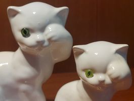 Deux petits chats tous tristes en céramique blanche