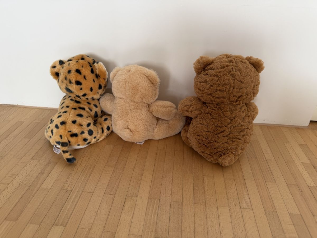 Jouets: Plüschtiere  – Neuf (Voir description) à Untersiggenthal par laraw 2