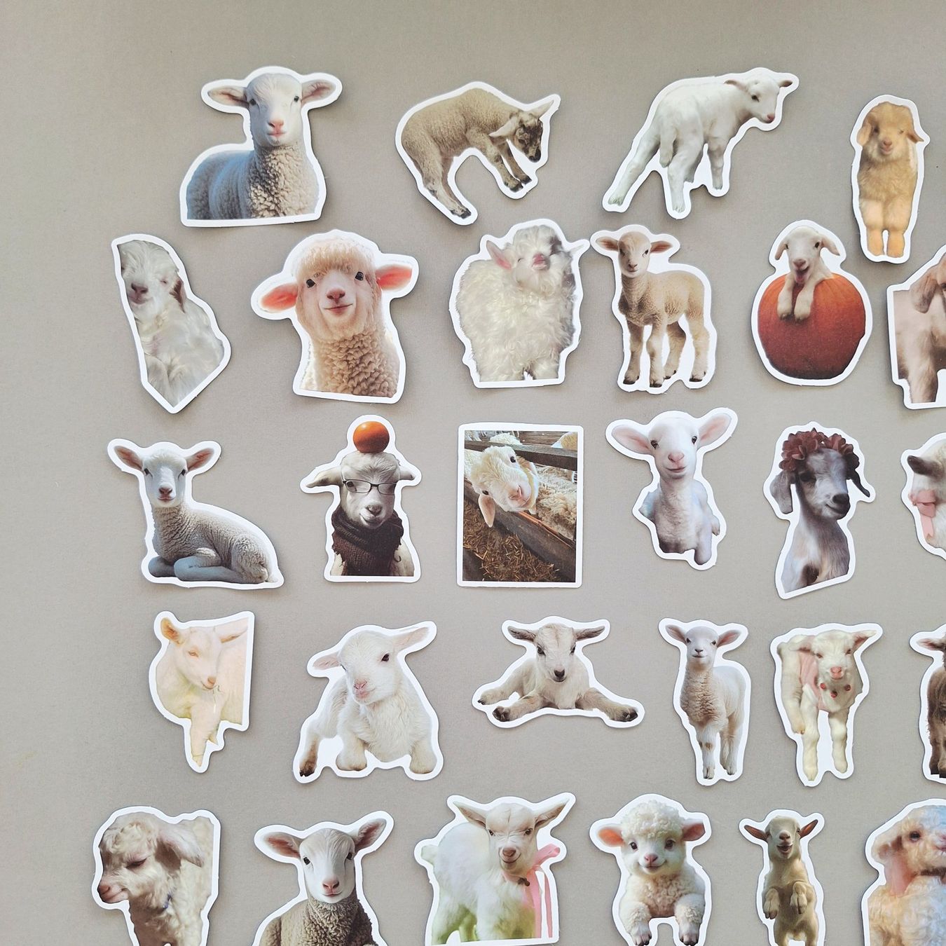Sticker: 50 Aufkleber Sticker - Lamm Schaf – Nuovo e nell'imballaggio originale da Basel venduto da kun_2hnm 1