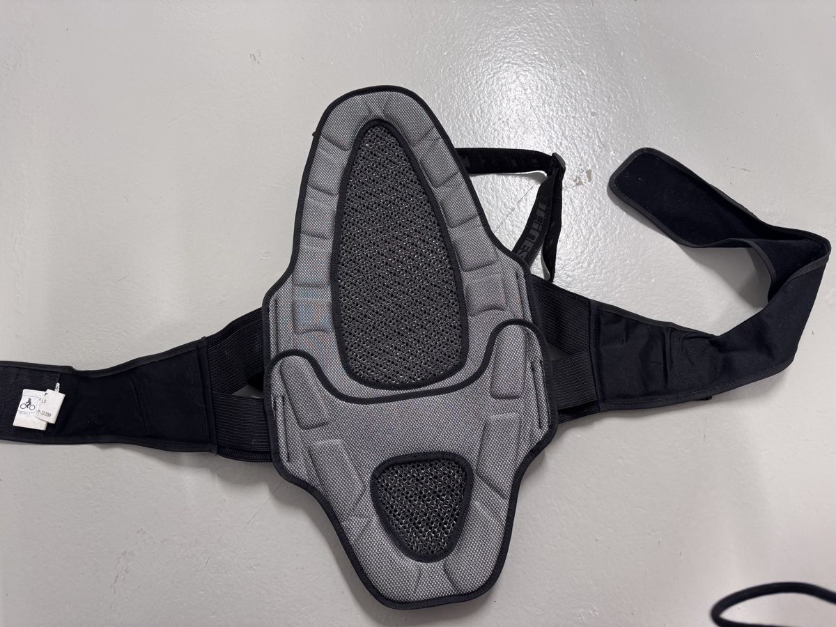 Dainese Protezioni & Imbottiture: Rückenpanzer Dainese Gr. L – Usato da Glattfelden venduto da Schuggi_21 1