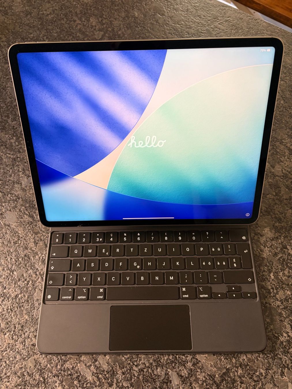 Apple Tablet PC: iPad Pro 12.9, 6th Gen, WLAN/Cell+MagicKB, Display Schaden – Usato da Wolfhausen venduto da vins_zh 6