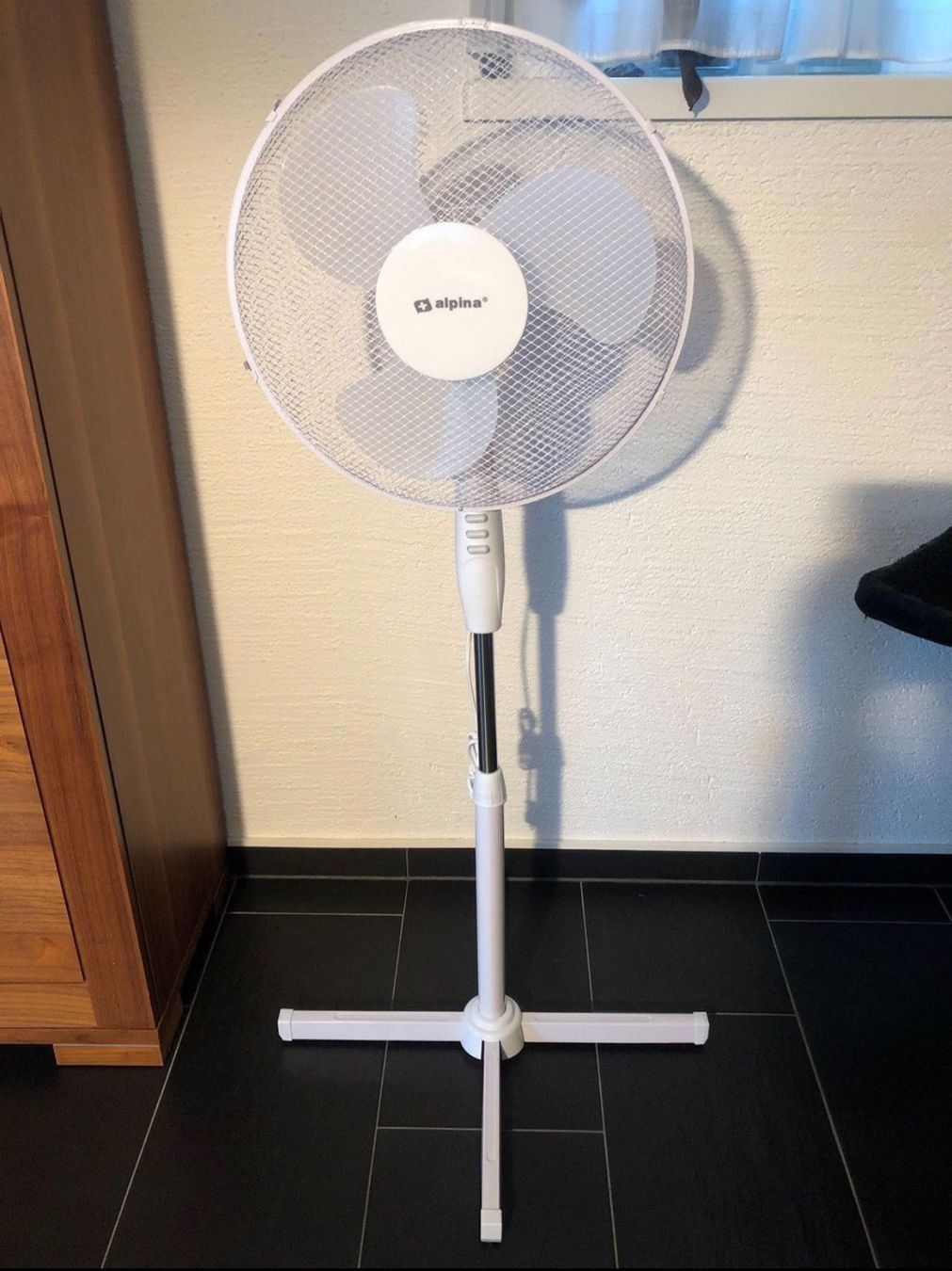 Ventilatori: Ventilator Alpina – Nuovo e nell'imballaggio originale da Hunzenschwil venduto da jaeggi1978