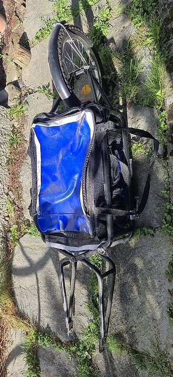 Rimorchi: Fahrrad Anhänger mit Tasche – Usato da Liebefeld venduto da MTB0402 1