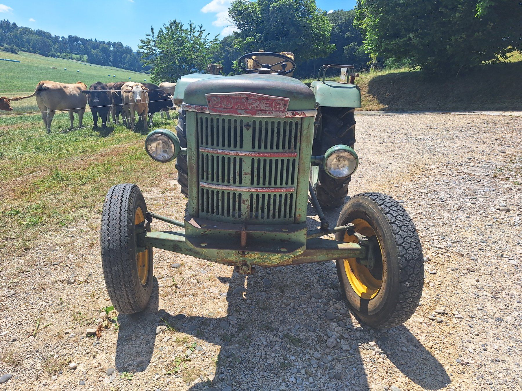 Tracteurs: Oldtimer Traktor Bührer mit Messerbalken – D'occasion à Eptingen par HackerPschorr 1