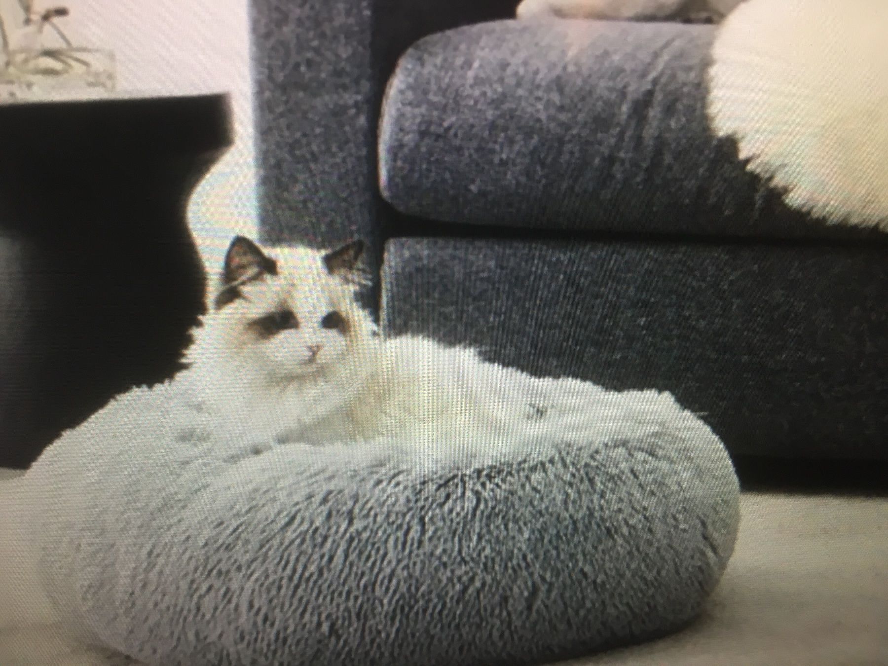 Liege- & Schlafplätze: Katzen Bett flauschig 2 Farben neu – Neu und originalverpackt aus Rorschach von charlotte1964 6