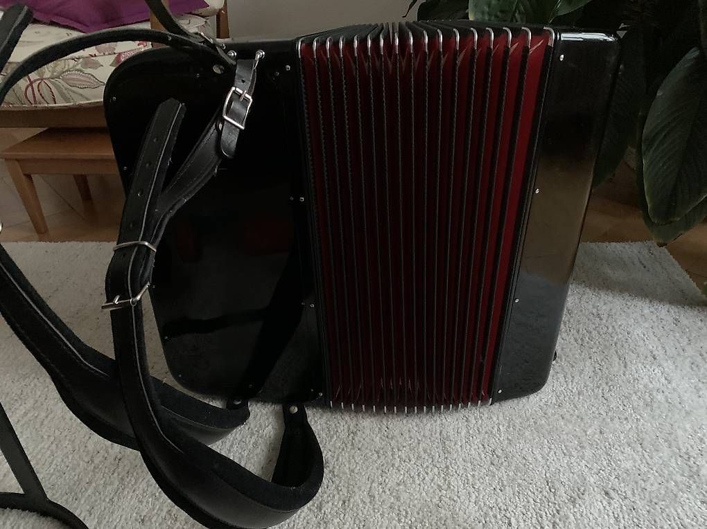 Adria Strumenti musicali: Akkordeon Adria Chromaton IV – Usato da Luzern venduto da silverspoon02 3
