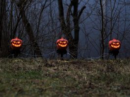 EUROPALMS Halloween Kürbisse mit Erdspieß, 3er-Set, 39cm