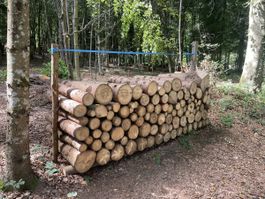 Brennholz