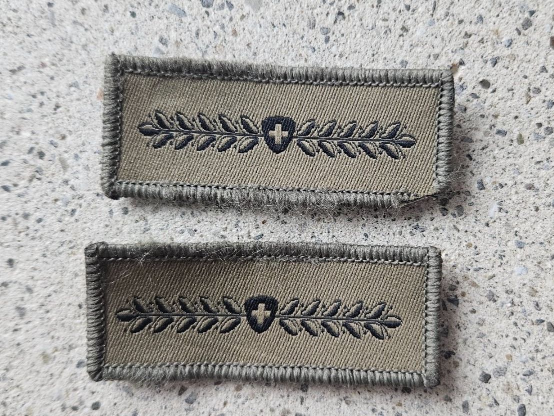 Schweizer Armee Placchette & Badge: *** Militzabzeichen Set mit klett *** – Usato da Riedholz venduto da fr_sIruP