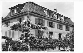 Les cyclamens pensionnat Cressier ( Ntel )