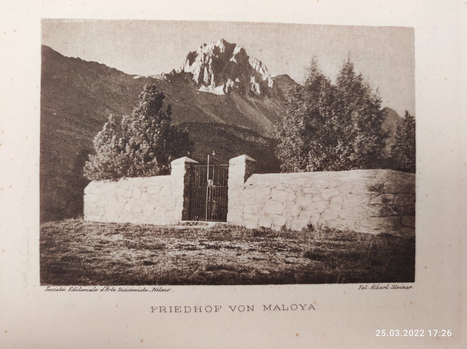 Foto & Immagini: ALBERT STEINER - 3 HELIOGRAVÜREN – Usato da Goldach venduto da Gaip 5