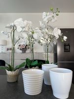 Künstliche Orchideen 3er Set mit drei Töpfen weiss