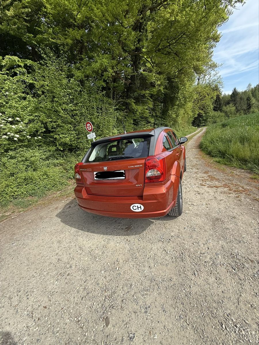 Automobili: Dodge caliber ab Service und mfk – Usato da Wiezikon b.Sirnach venduto da san_2msd 3