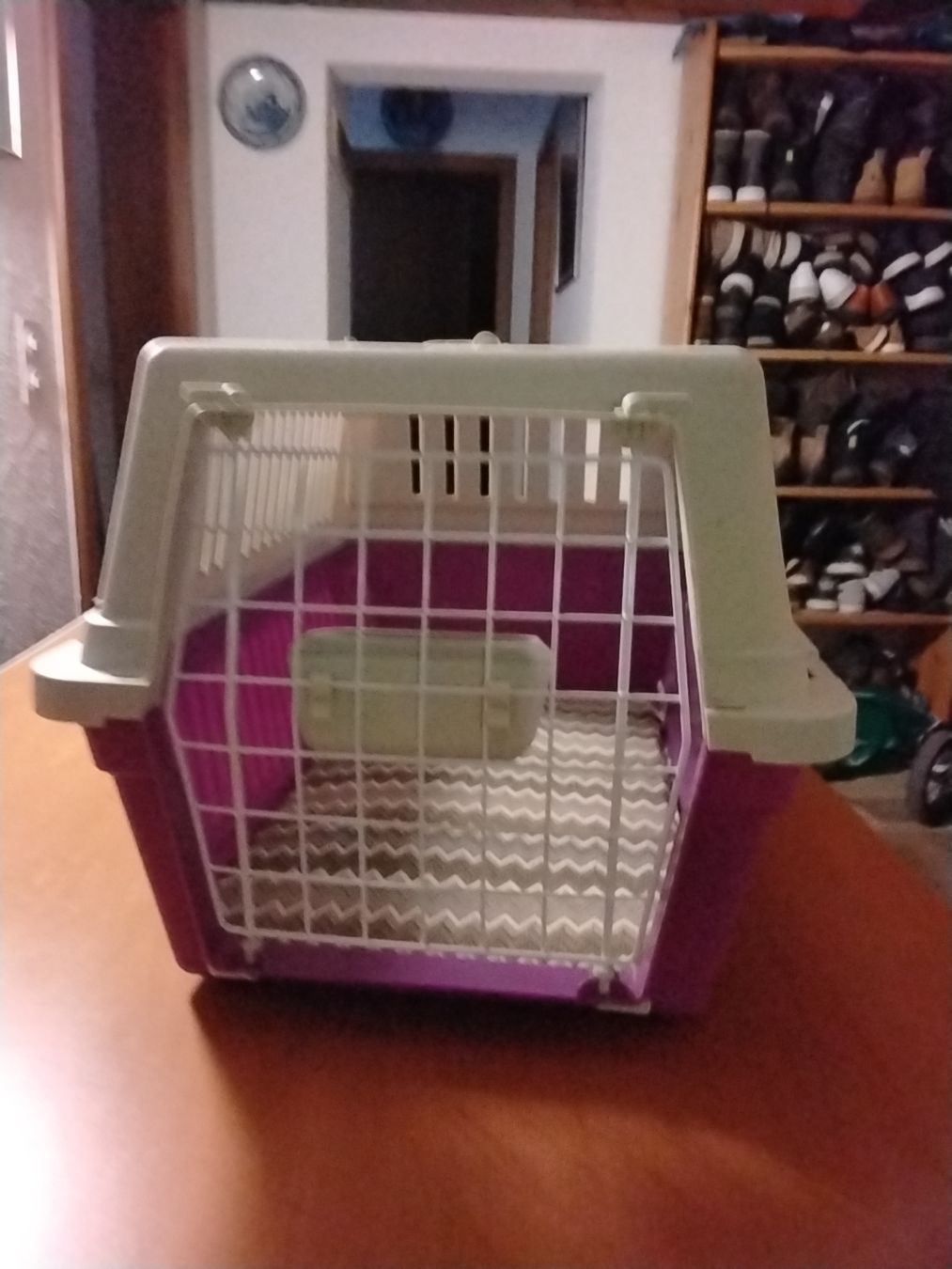 Gabbie, trasporto & Sicurezza: Katzentransportbox – Nuovo (secondo la descrizione) da Sonceboz-Sombeval venduto da Achilles8