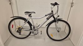 Velo Infinity 26'' - Grösse M