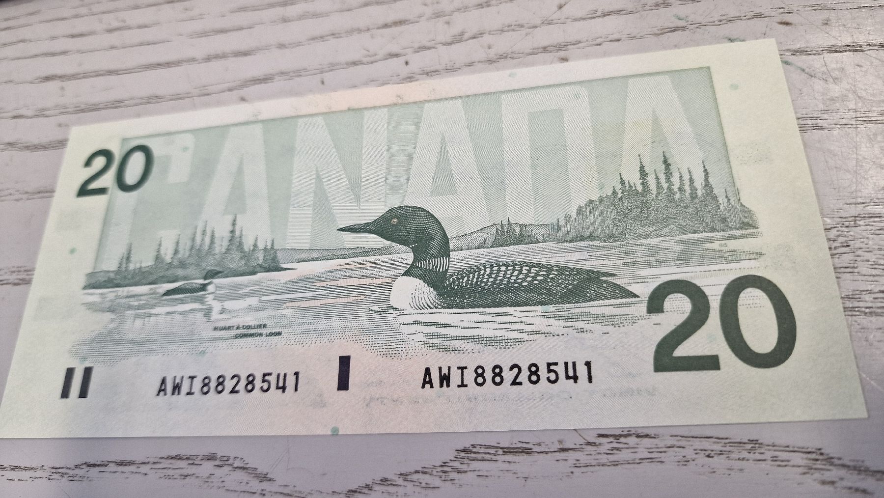 Banconote: Kanada 20 Dollar Note Queen Elizabeth II 1991  – Nuovo e nell'imballaggio originale da Herisau venduto da Antiques.AR 1