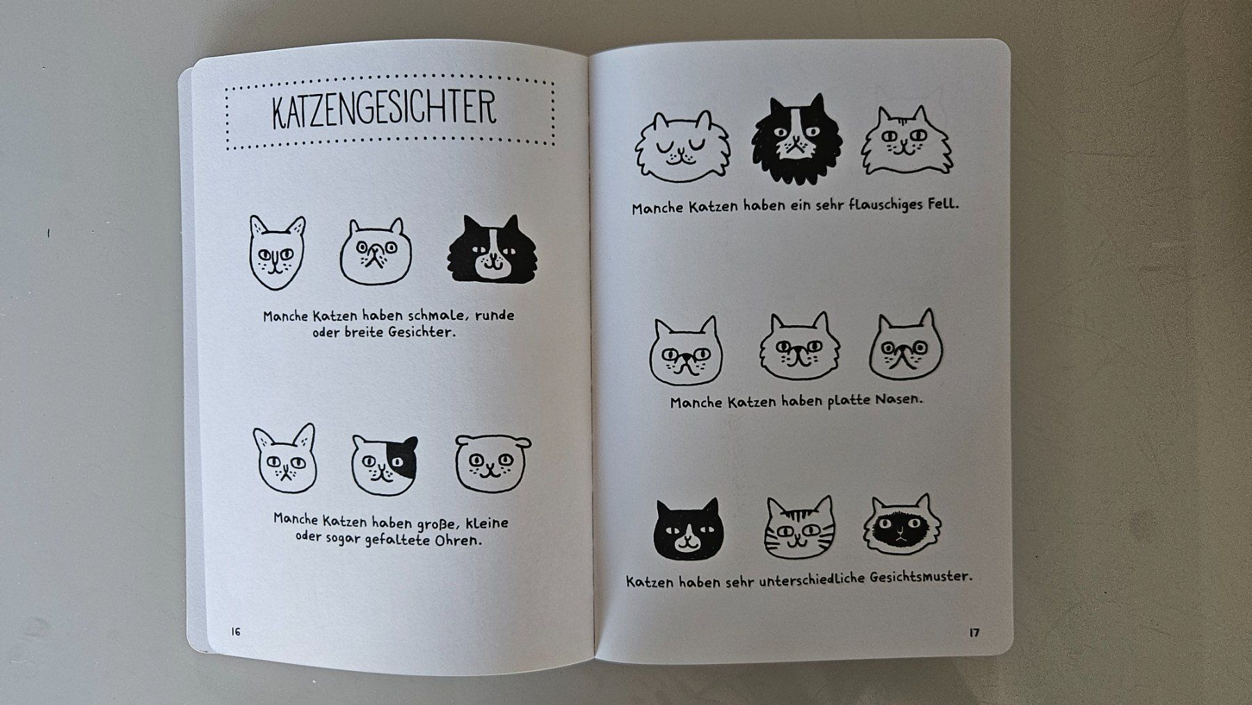 Libri: Kritzel die Katz / Ungebraucht – Usato da Basel venduto da True_Hofer_Store 1