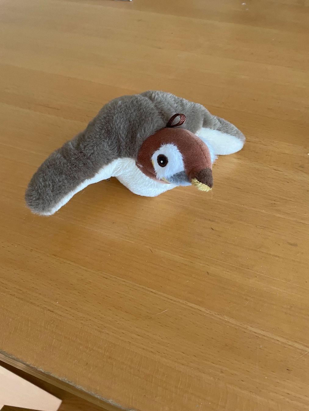 Giocattoli: Katzenspielzeug Vogel mit Sound – Usato da Olten venduto da Tinuu001
