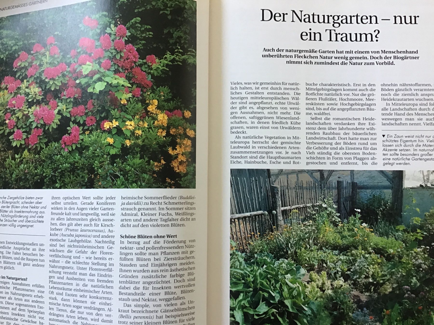 Libri: Der gesunde Biogarten – Usato da Kirchenthurnen venduto da Gluecksbrief 2