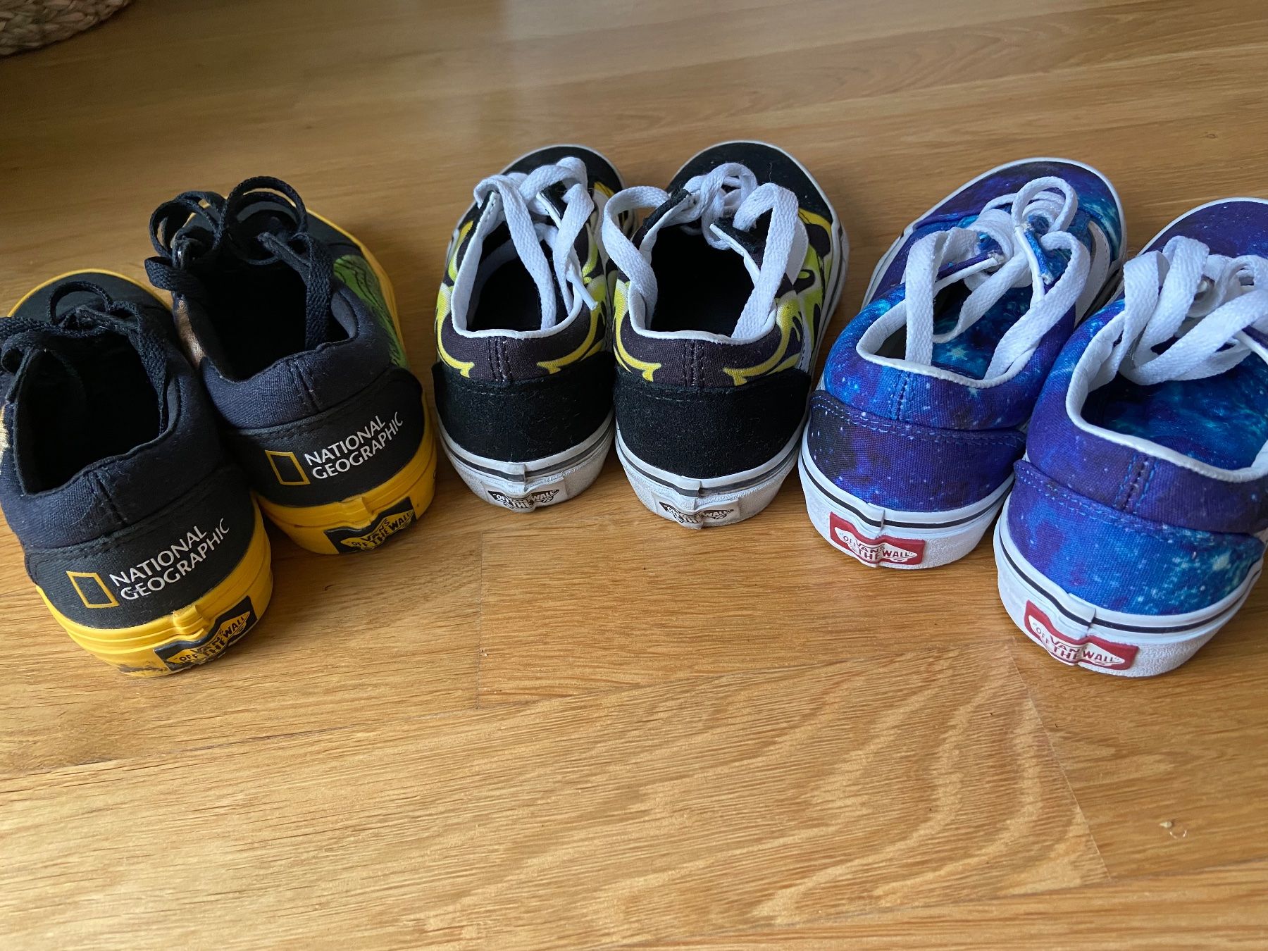 Vans Scarpe da uomo: Vans National Geographic – Usato da Riehen venduto da Loretxutxu 2