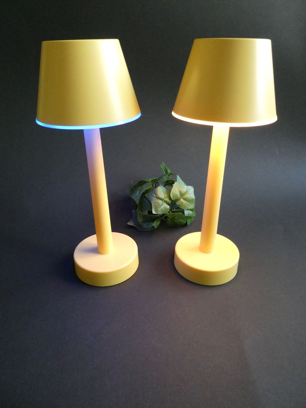 Migros Tutte le decorazioni: 2x LED Tischlampe mit USB-Anschluss – Nuovo (secondo la descrizione) da Zürich venduto da ursinas-shop 2