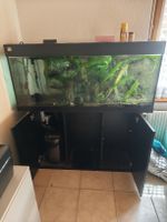 Juwel Aquarium