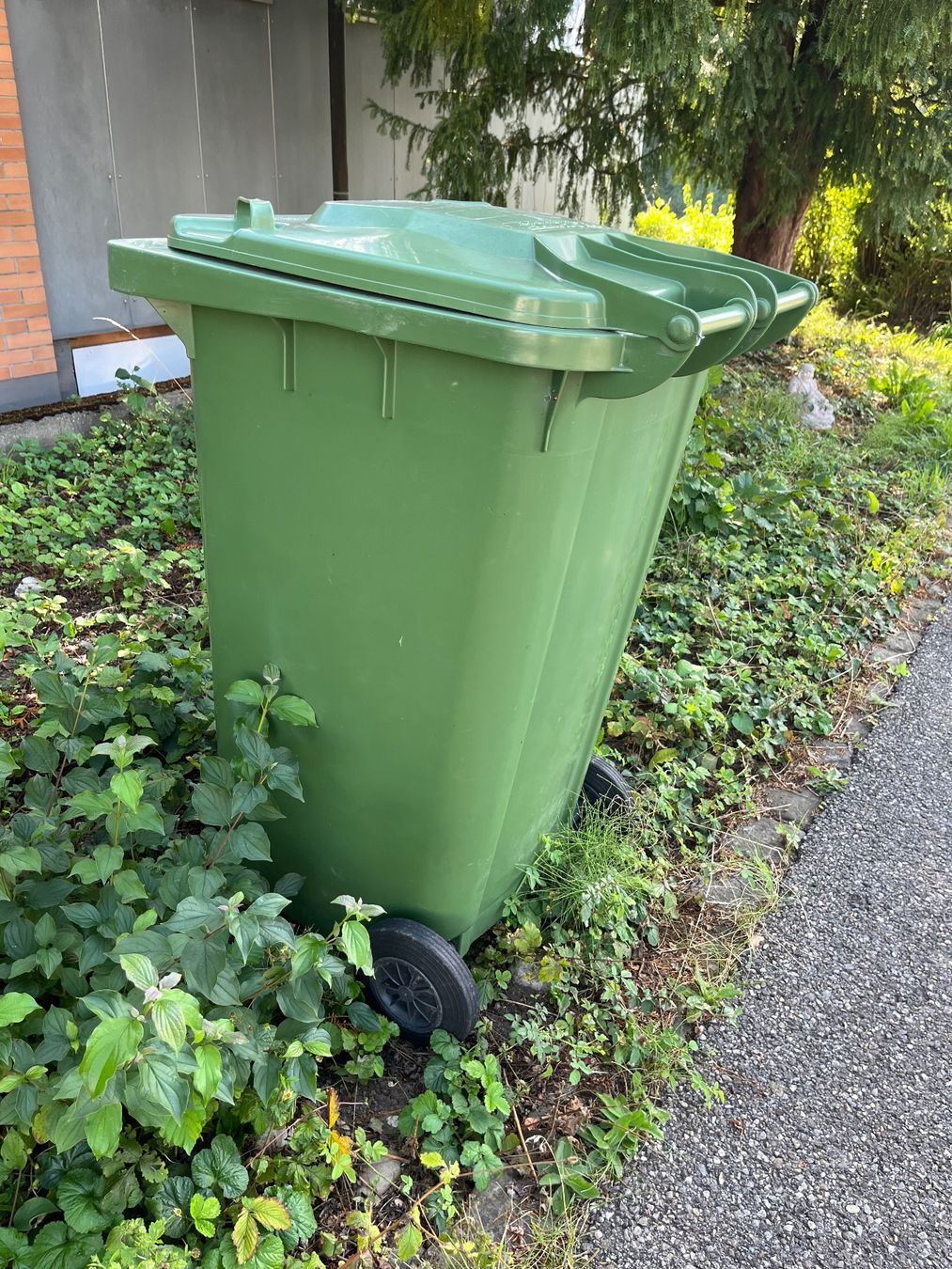 Altro per Ufficio & Commercio: Grüncontainer 240l – Usato da Lohn-Ammannsegg venduto da nad_nzl8