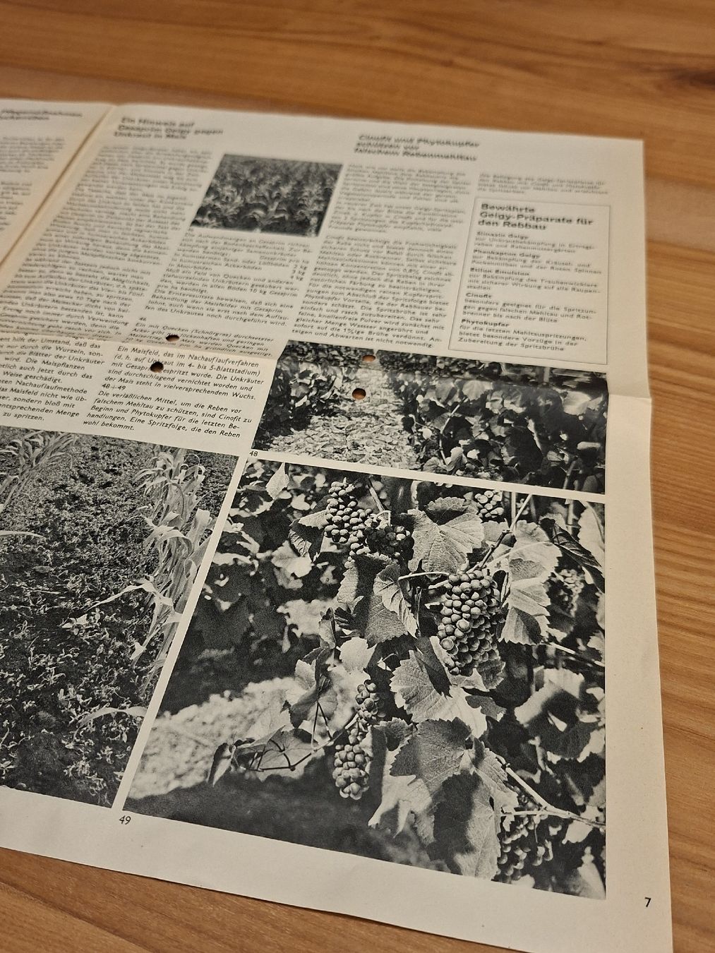 Documenti: Geigy Berater Basel Prospekt 1961 Schädlingsbekämpfung – Usato da Ganterschwil venduto da HeidiuPeter 4