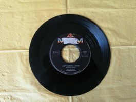Sam The Sham & The Pharaohs – Wooly Bully